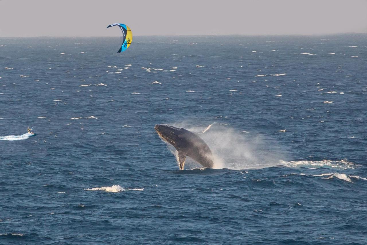 Kitesurf Tofo House - 1 Minute Walk From Beach And Center Praia do Tofo Exterior foto