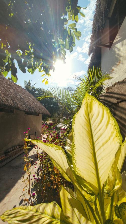 Kitesurf Tofo House - 1 Minute Walk From Beach And Center Praia do Tofo Exterior foto
